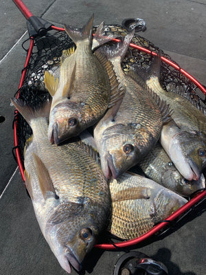 Best Lures and Stinger Hooks for Bream, Bass and Yellowbelly